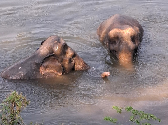 Somboon Legacy Foundation-Klon Do必去景点