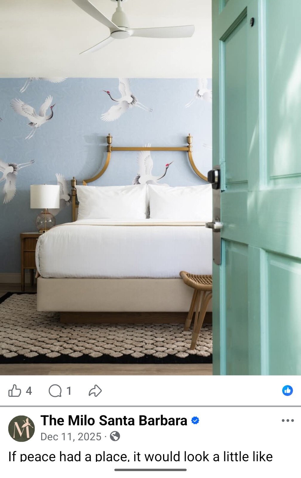 圣芭芭拉奥西阿纳酒店-客卧