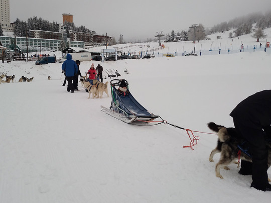 The Husky Experience Sestriere-Sestriere必去景点
