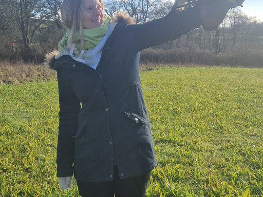 North Devon Hawk Walks-South Molton必去景点