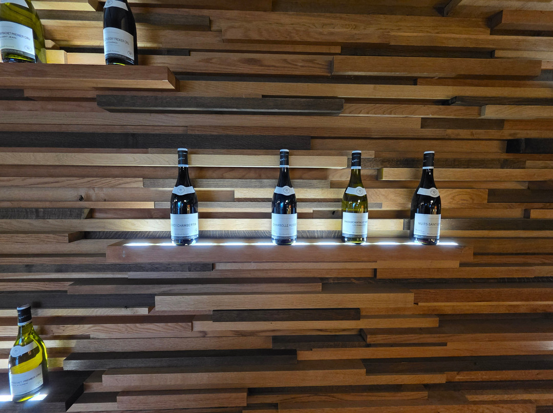 Caveau Meursault - MOILLARD-默尔索必去景点