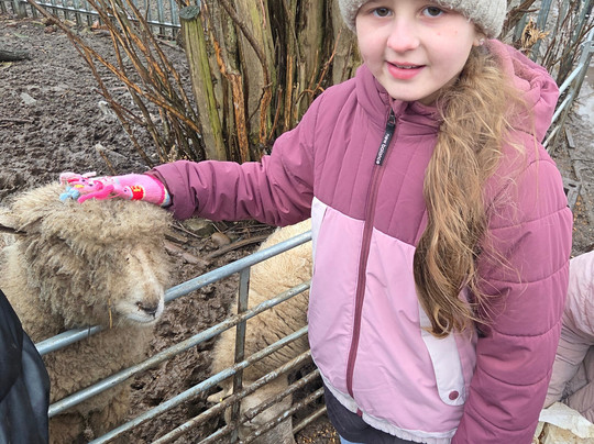 Willow Tree Family Farm-Shirebrook必去景点