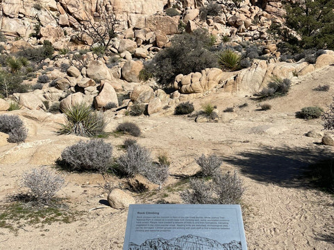 隐身谷-约书亚树国家公园必去景点