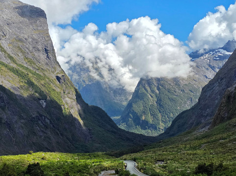 Stray-奥克兰中心地区必去景点