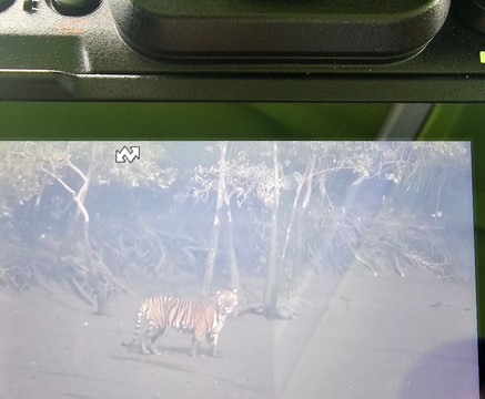 Nature Explorers India-孟买必去景点