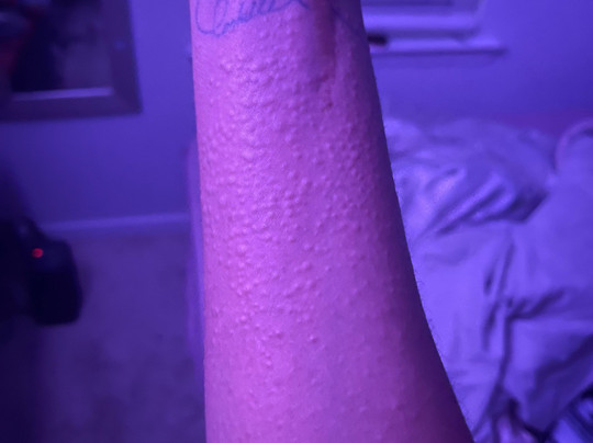 Spark By Hilton Savannah South I-95主图