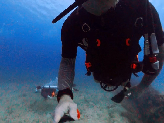 Trident Adventures-火奴鲁鲁必去景点