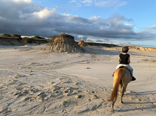 Eco Equus Cabalgatas-La Pedrera必去景点