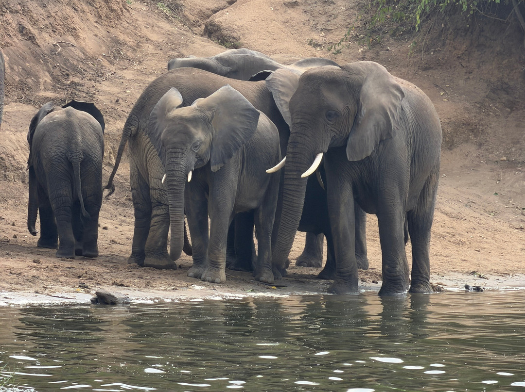 Kazinga Channel-伊丽莎白女王国家公园必去景点