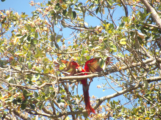 Playa Hermosa-圣特雷莎必去景点