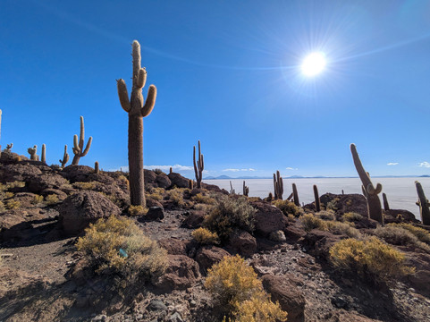 WONDER TOURS, LA PAZ-拉巴斯必去景点