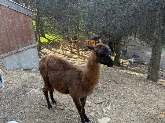 Wikiup Hummingbird Hotel主图