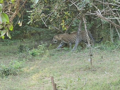 TrustGo Travels-埃勒必去景点