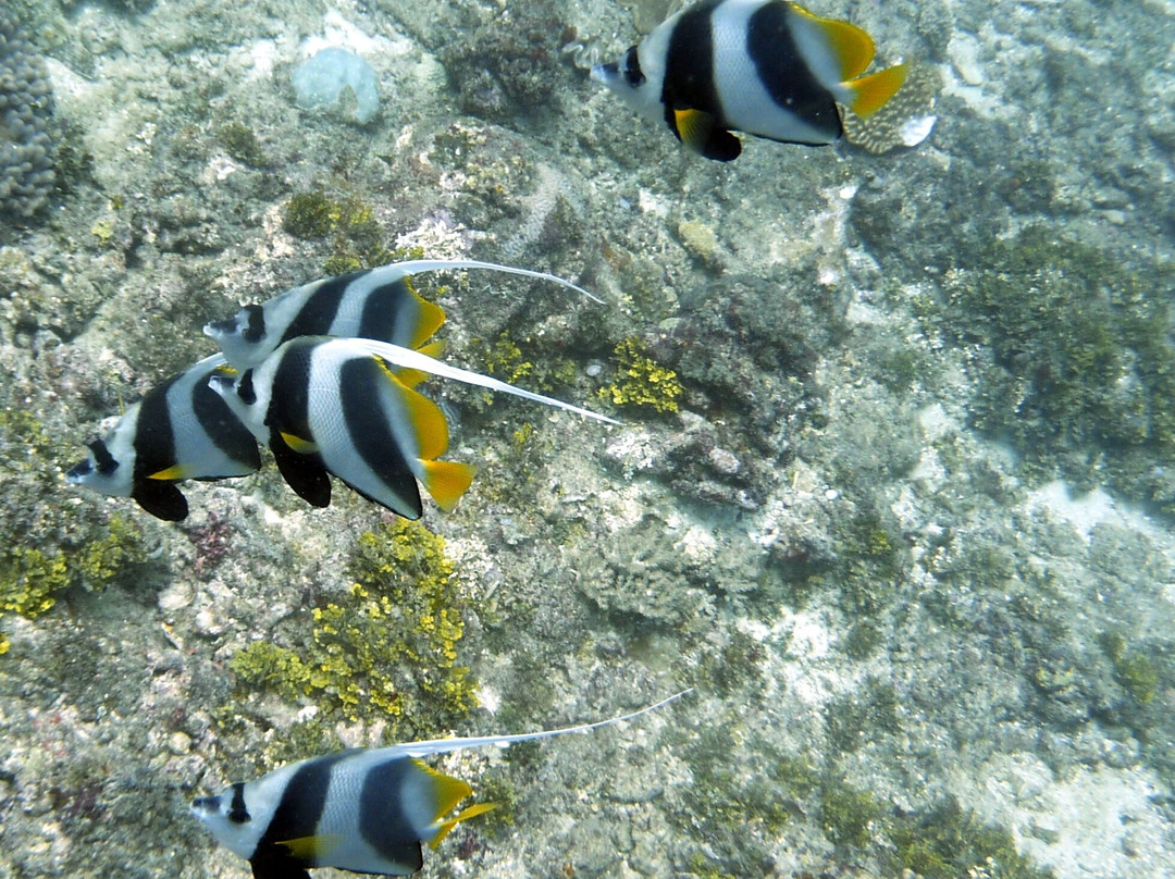 Aqua Ventures-瓦塔木必去景点