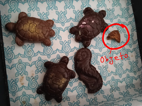 Chocolapagos Darwin's Favourites-阿约拉港必去景点