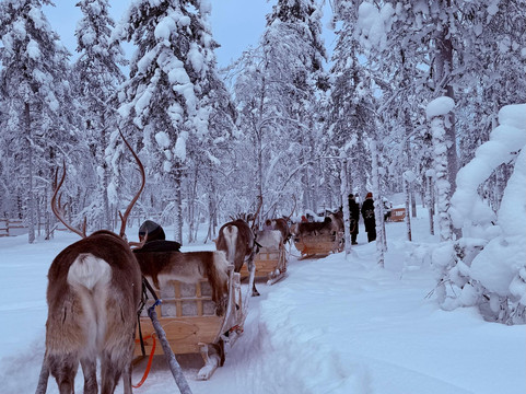 Polar Lights Tours-Sirkka必去景点