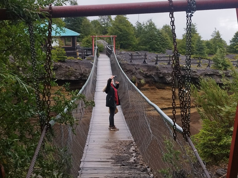 Parque Nacional Villarrica-普孔必去景点