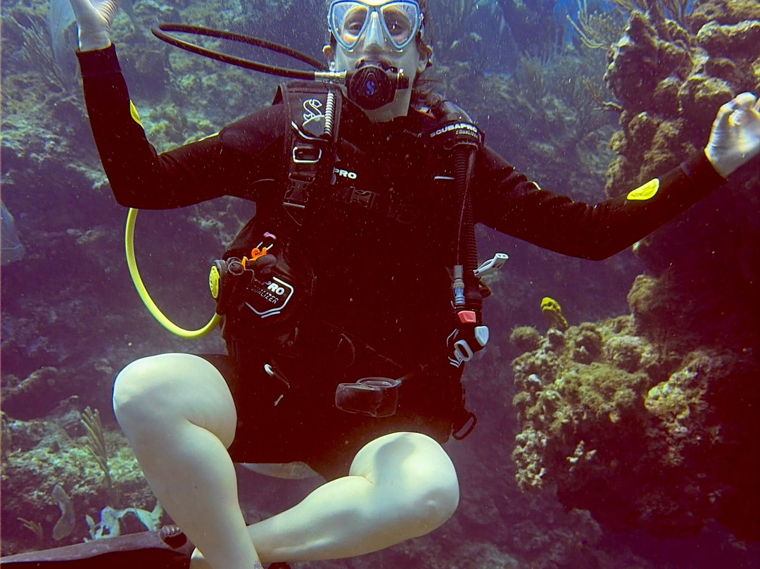 Epic Divers Grand Cayman Cayman Islands-大开曼岛必去景点