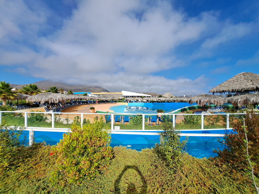 Rosa Agustina Guanaqueros Resort