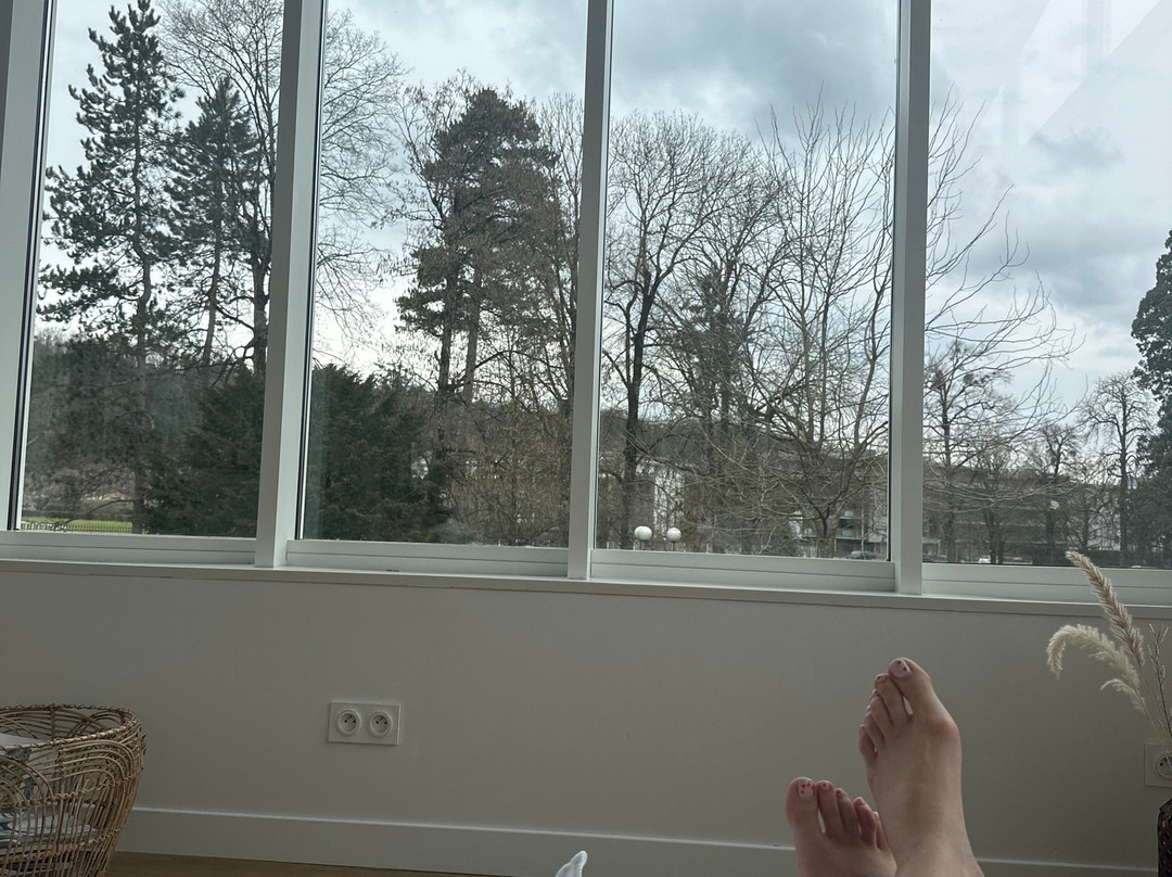 Les Bains des Alpes - Spa Nuxe-艾克斯莱班必去景点