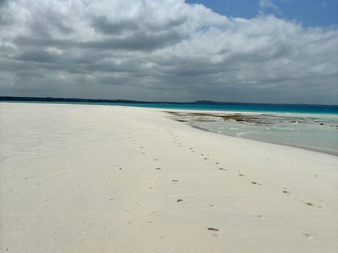 Urafiki Tours and Safari-孥归必去景点