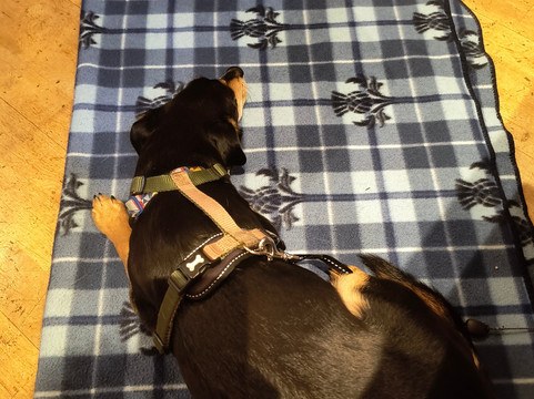 Open Arms Hotel主图