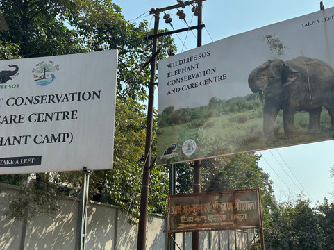 Elephant Conservation & Care Center-马图拉必去景点