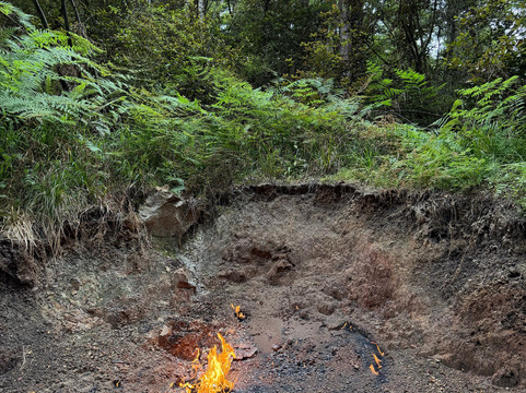 The Natural Flames Experience - Day Tours-Murchison必去景点