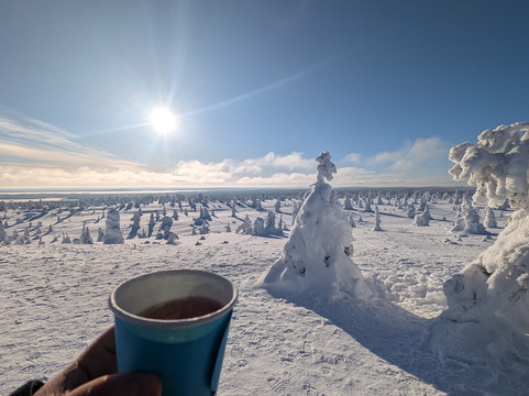 Lupland Adventures-Ranua必去景点