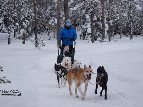 Trysil Husky-Torberget必去景点