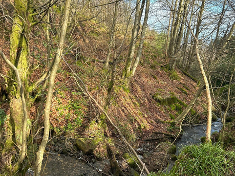 Maspie Den-Falkland必去景点