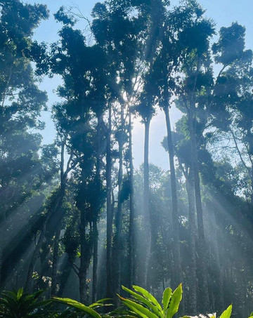 Horizon Finder-Vythiri必去景点