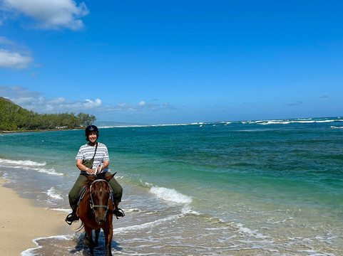 Ocean Echo Stables-Saint John Parish必去景点
