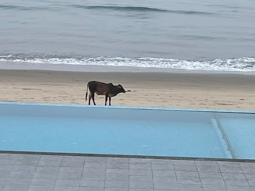 The Atlantis Devbag