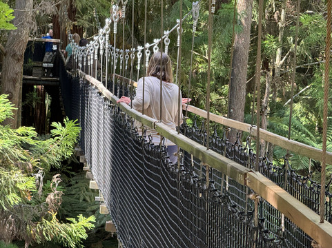 A Day in the Bay-Papamoa必去景点