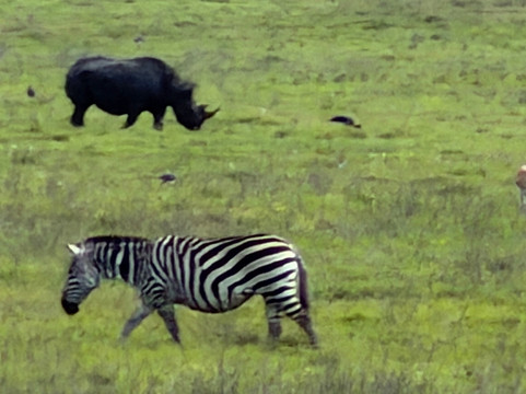 Makasa Tanzania Safaris-莫西必去景点
