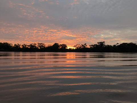 Tambopata Wild Life Perú-San Sebastian必去景点