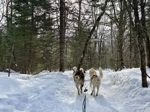Secrets Nordiques Day Tours-博普雷必去景点