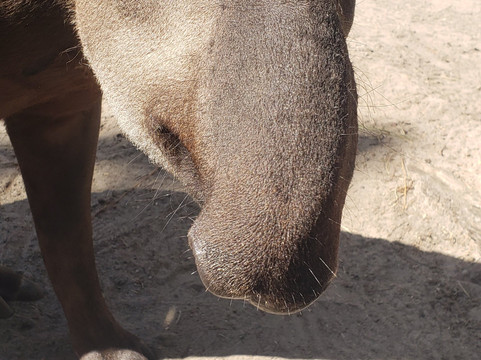 Zoo World Zoological Park-巴拿马城海滩必去景点