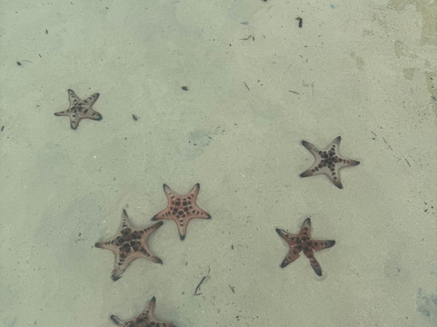 海星沙灘-Ganh Dau必去景点