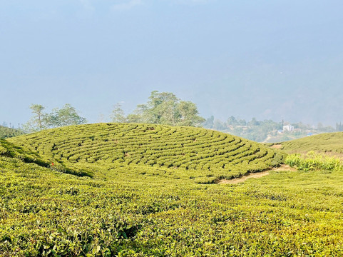 Himalaya Darshan Treks Pvt. Ltd-加德满都必去景点