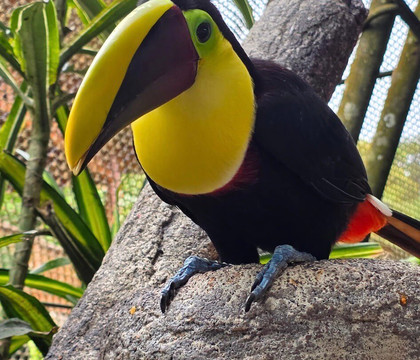 Greenway Nature Day Tours-利蒙港必去景点