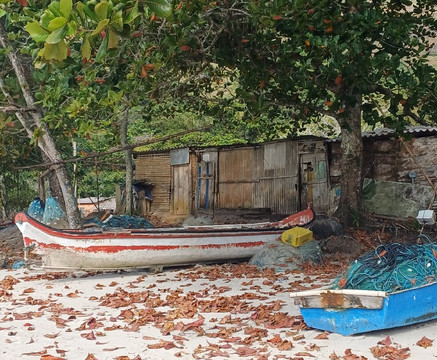 Restinga da Marambaia-曼加拉蒂巴必去景点