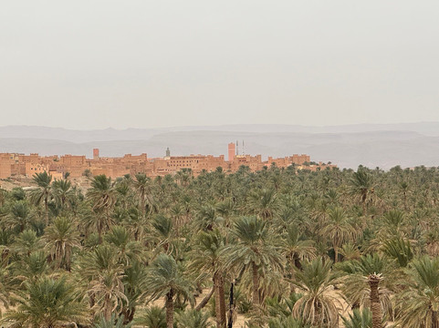 Mountain Desert Tours-马拉喀什必去景点