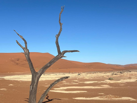 Deadvlei-苏丝斯黎必去景点