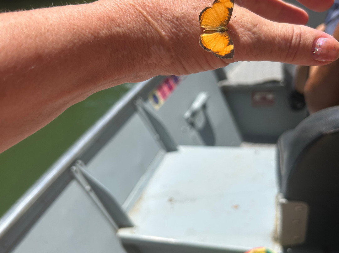 Estancia Mimosa Ecoturismo - Cachoeiras em Bonito, MS-博尼图必去景点