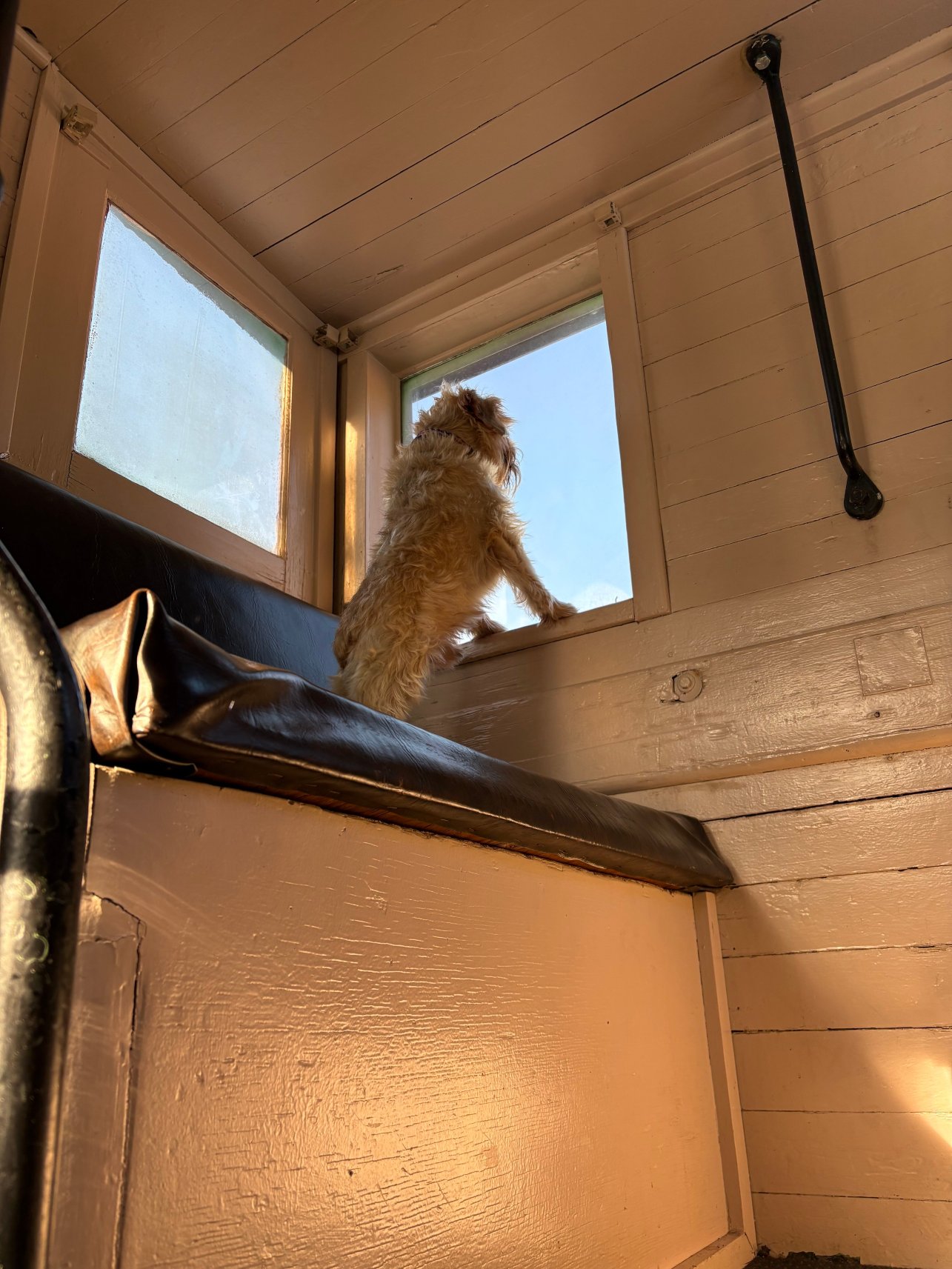 Jubilee Railroad Wilderness Lodge-官方