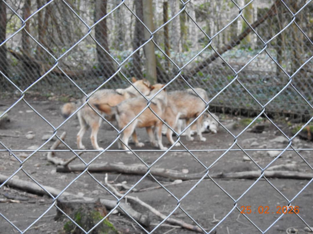 La Maison des Loups-奥尔吕必去景点