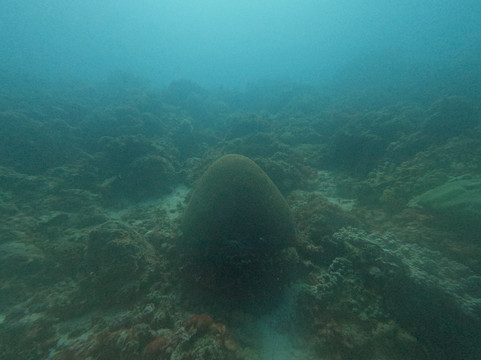 Buccaneer Diving-帕杰必去景点
