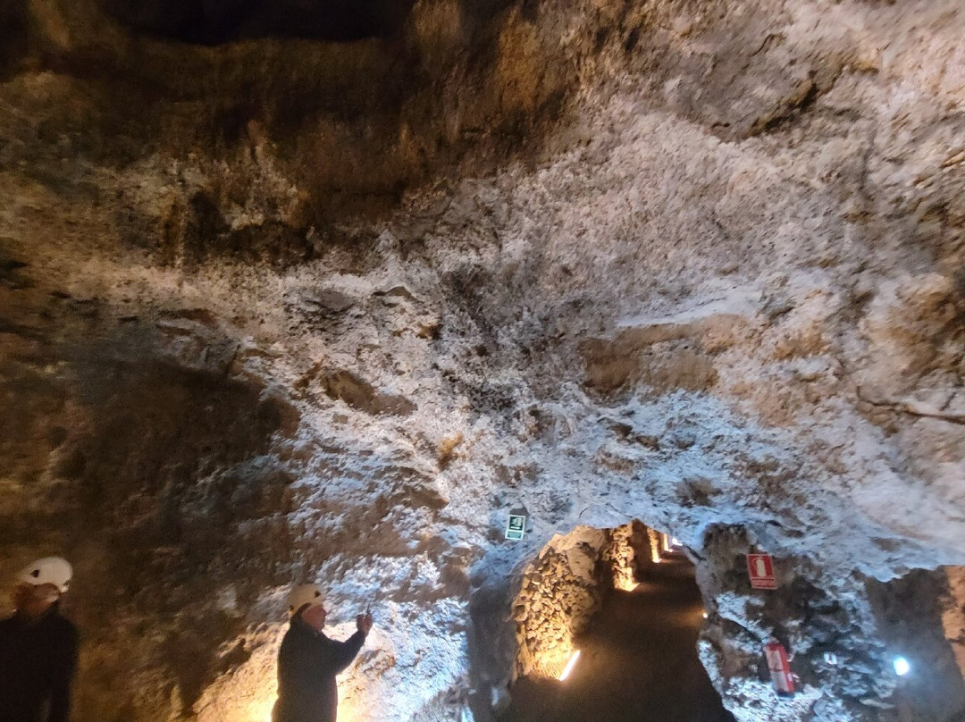 Ecomuseo de Guinea y Lagartario-Frontera必去景点